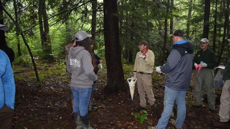DCNR森林管理员Bill Laubscher说, center, 示范在铁杉根部施用杀虫剂. 
